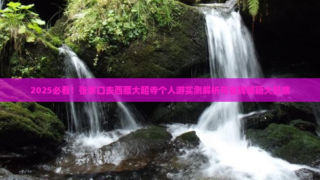 张家口去西藏大昭寺个人游