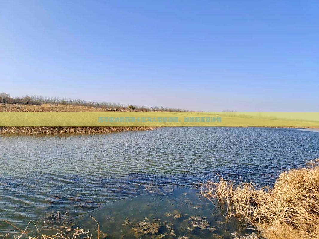 西双版纳到西藏卡定沟大型旅游团