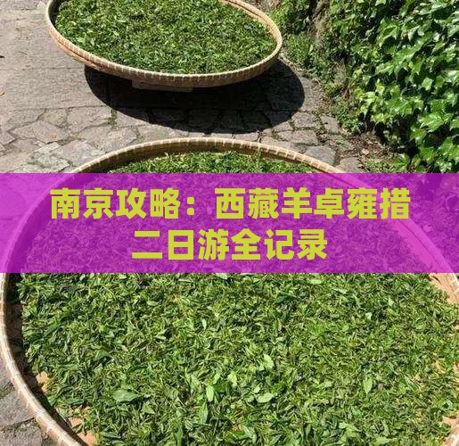 南京去西藏羊卓雍措二日游