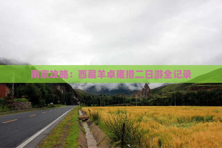 南京去西藏羊卓雍措二日游