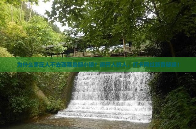 枣庄去西藏鲁朗小镇一日