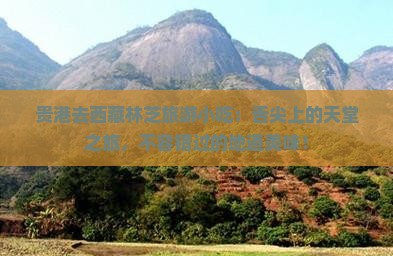 贵港去西藏林芝旅游小吃