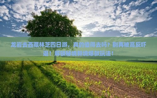 龙岩去西藏林芝四日游