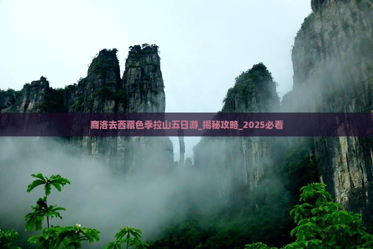 商洛去西藏色季拉山五日游