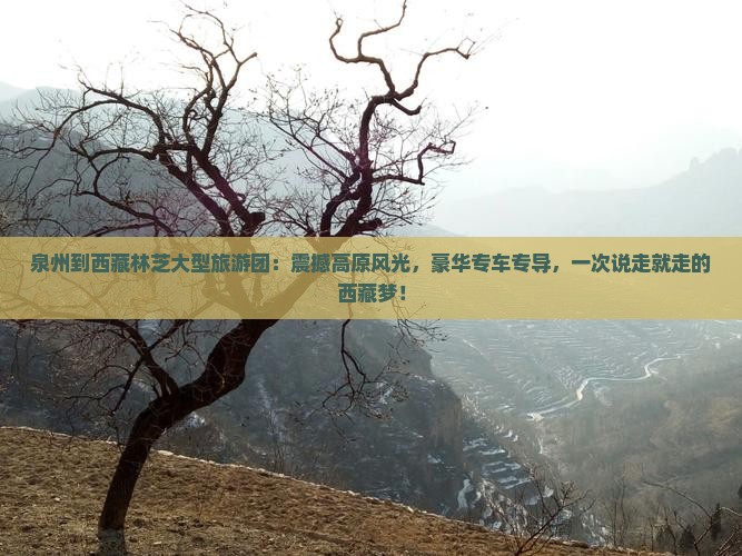 泉州到西藏林芝大型旅游团