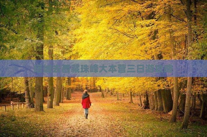 塔城去西藏珠峰大本营三日游