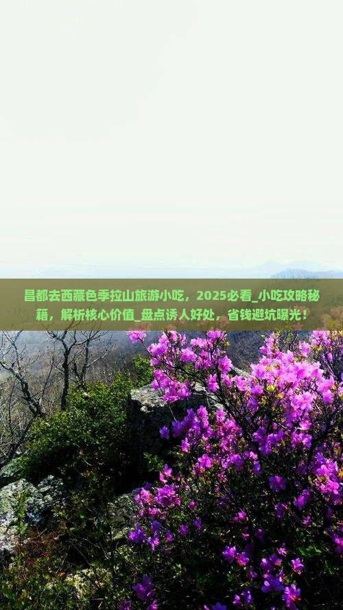 昌都去西藏色季拉山旅游小吃 昌都去西藏色季拉山旅游小吃