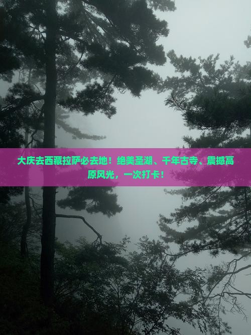 大庆去西藏拉萨必去地 大庆去西藏拉萨必去地
