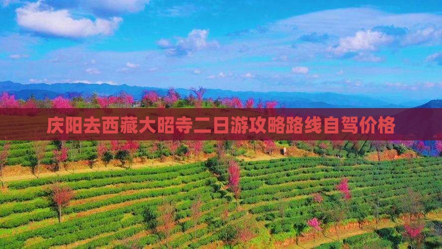 庆阳去西藏大昭寺二日游
