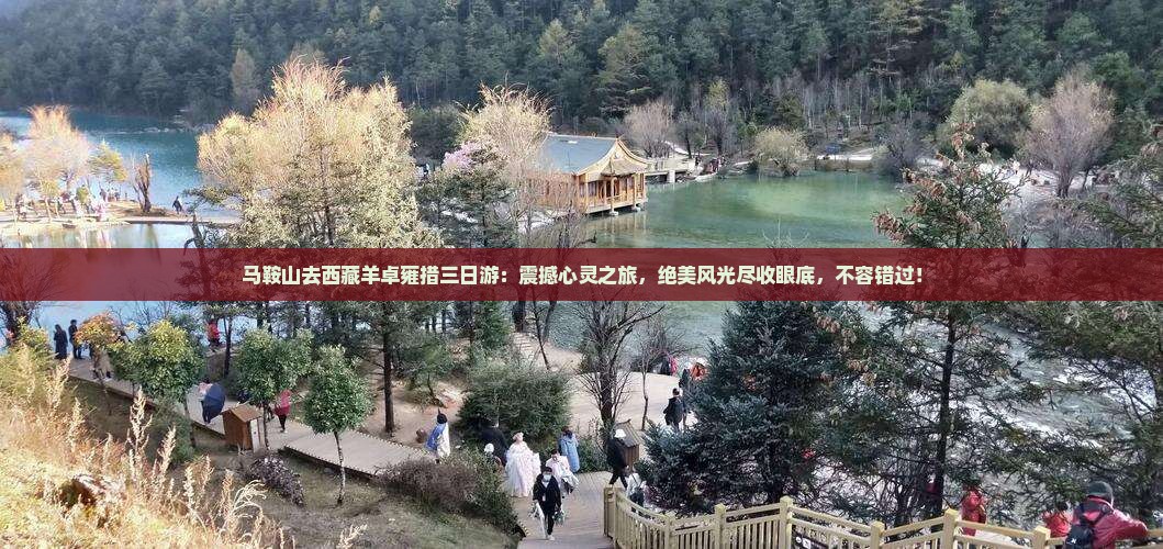 马鞍山去西藏羊卓雍措三日游