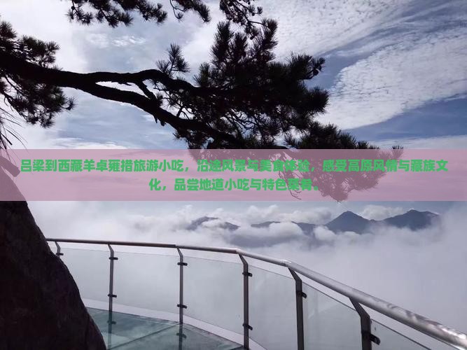 吕梁到西藏羊卓雍措旅游小吃