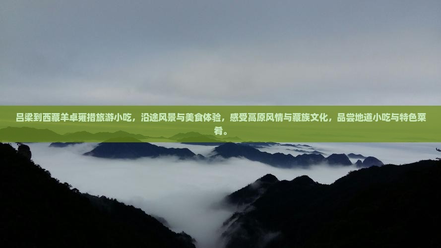 吕梁到西藏羊卓雍措旅游小吃