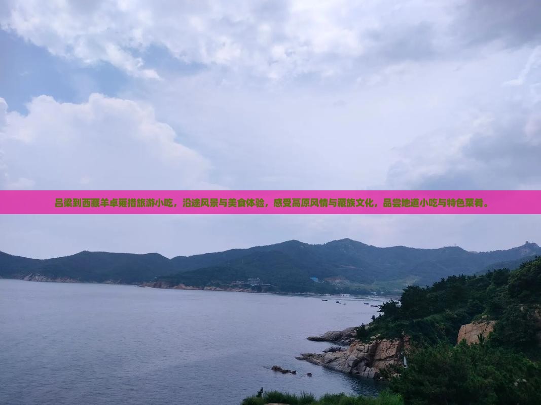 吕梁到西藏羊卓雍措旅游小吃