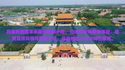吕梁到西藏羊卓雍措旅游小吃