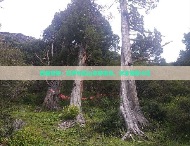 拉萨到西藏色季拉山旅游小吃