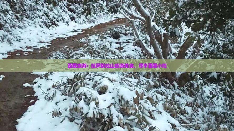 拉萨到西藏色季拉山旅游小吃