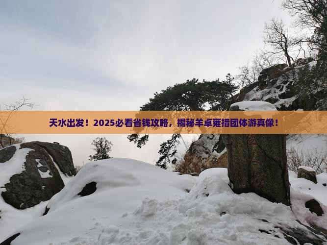 天水到西藏羊卓雍措团体旅游