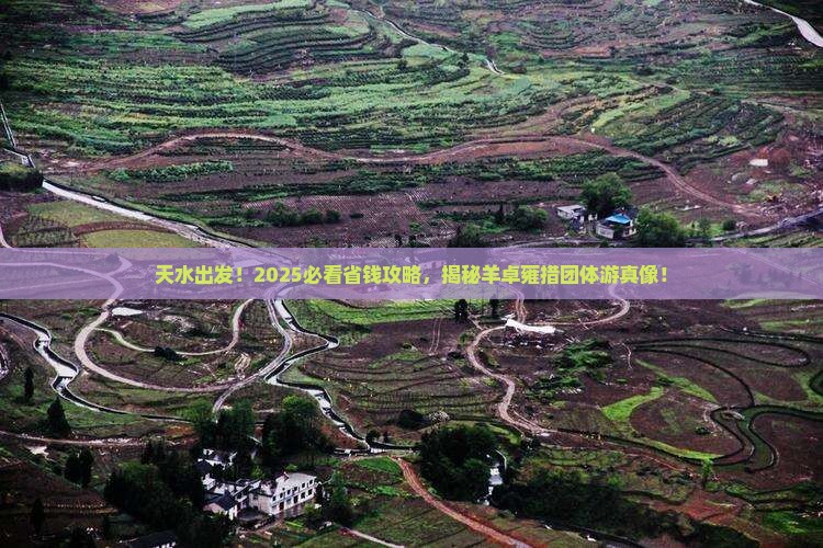 天水到西藏羊卓雍措团体旅游