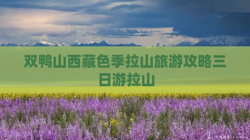 双鸭山去西藏色季拉山三日游
