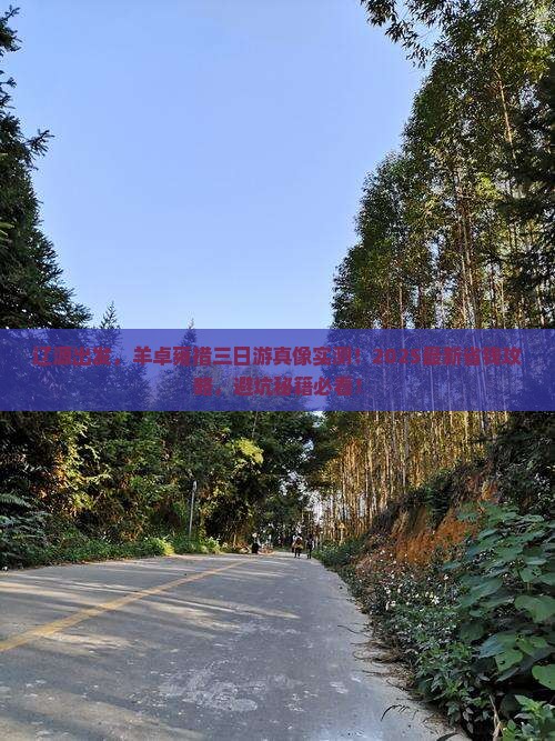 辽源去西藏羊卓雍措三日游