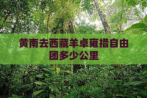 黄南去西藏羊卓雍措自由团