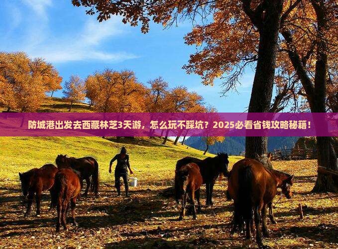 防城港去西藏林芝三日游