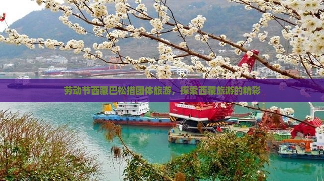 劳动节去西藏巴松措团体旅游