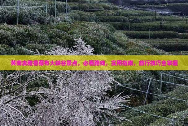 黄南去西藏雅鲁藏布大峡谷景点