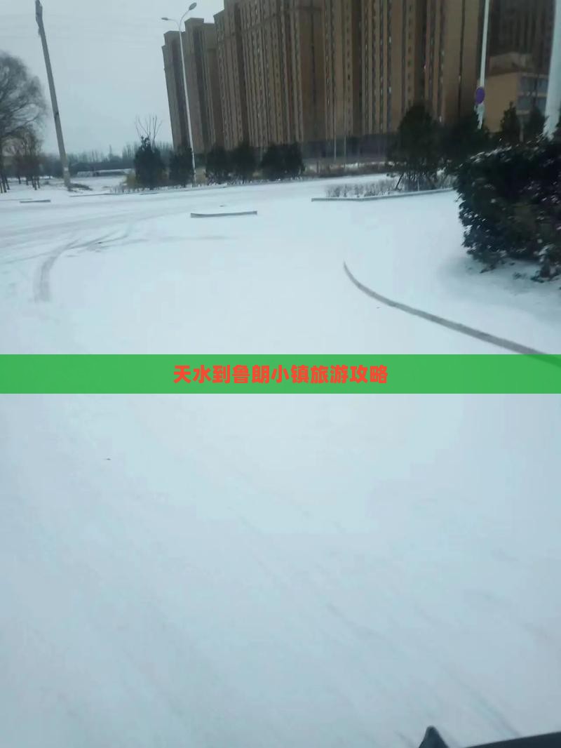 天水去西藏鲁朗小镇旅游