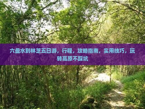 六盘水到西藏林芝五日游