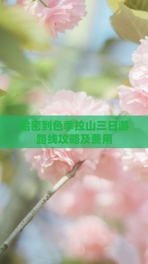 哈密到西藏色季拉山三日游