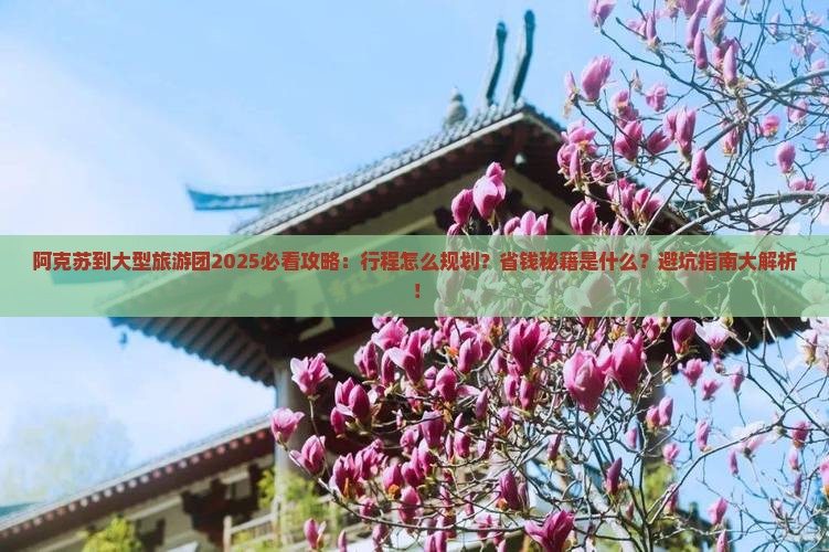 阿克苏到西藏大型旅游团