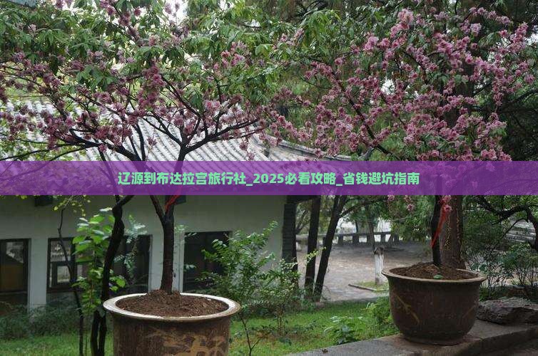 辽源到西藏布达拉宫旅行社