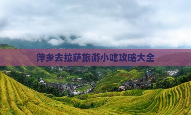 萍乡去西藏拉萨旅游小吃