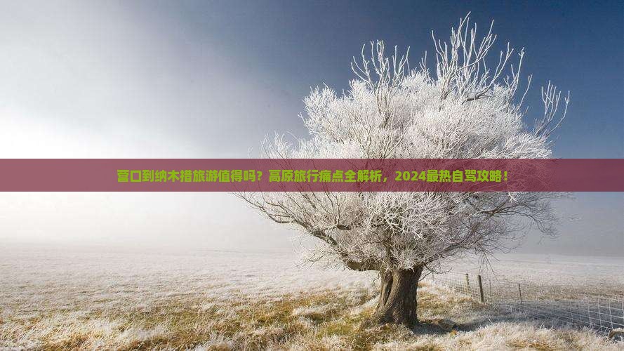 营口到西藏纳木措旅游