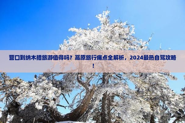 营口到西藏纳木措旅游