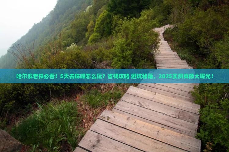哈尔滨到西藏珠峰大本营五日游