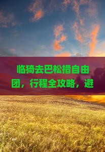 临猗去西藏巴松措自由团