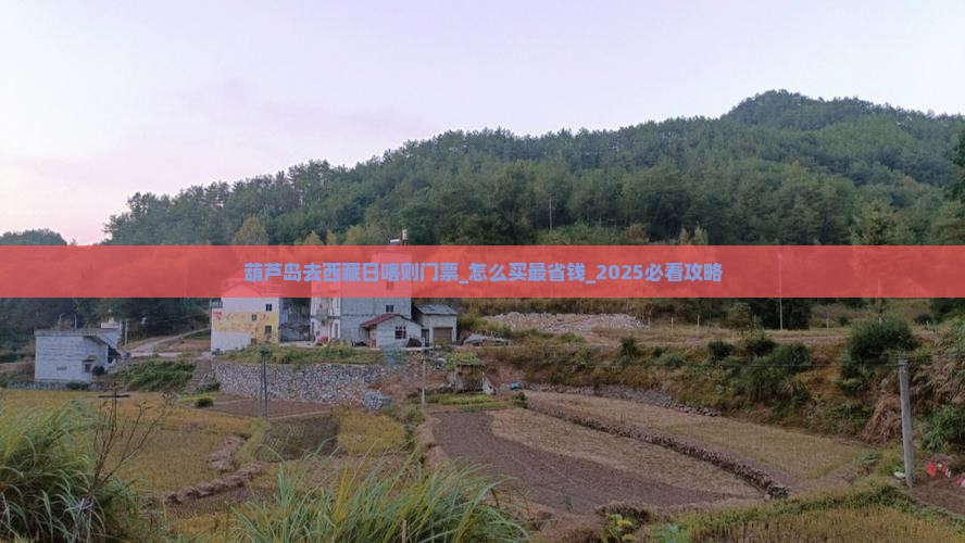 葫芦岛去西藏日喀则门票