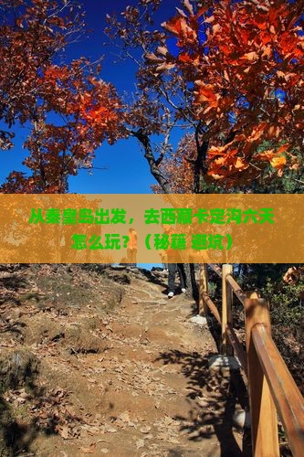 秦皇岛去西藏卡定沟六日游