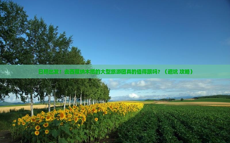 日照到西藏纳木措大型旅游团
