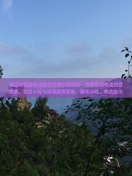 通辽到西藏布达拉宫旅游小吃