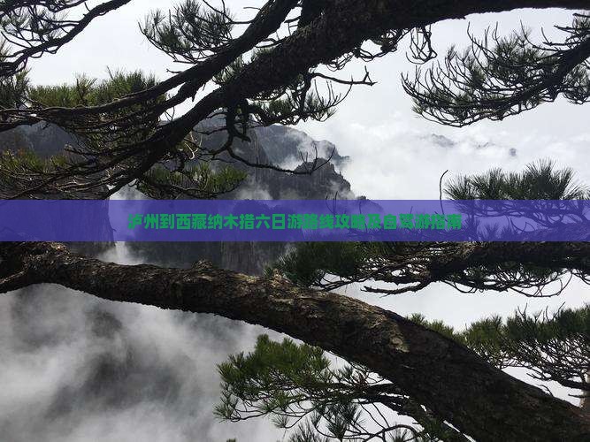 泸州到西藏纳木措六日游