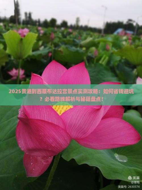 贵港到西藏布达拉宫景点