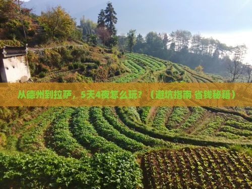 德州到西藏拉萨团体旅游