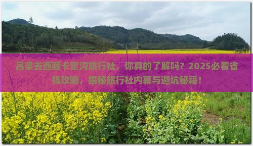 吕梁去西藏卡定沟旅行社