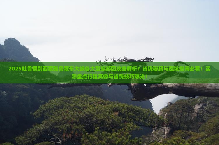 吐鲁番到西藏雅鲁藏布大峡谷大型旅游团