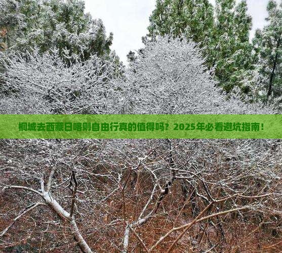 桐城去西藏日喀则自由行