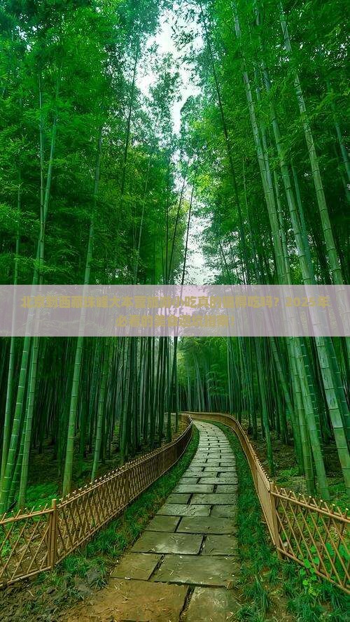 北京到西藏珠峰大本营旅游小吃