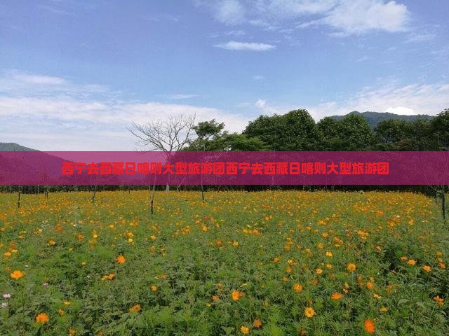 西宁去西藏日喀则大型旅游团